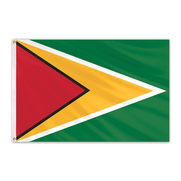 Global Flags Unlimited Guyana Outdoor Nylon Flag 2'x3' 201973 Zoro